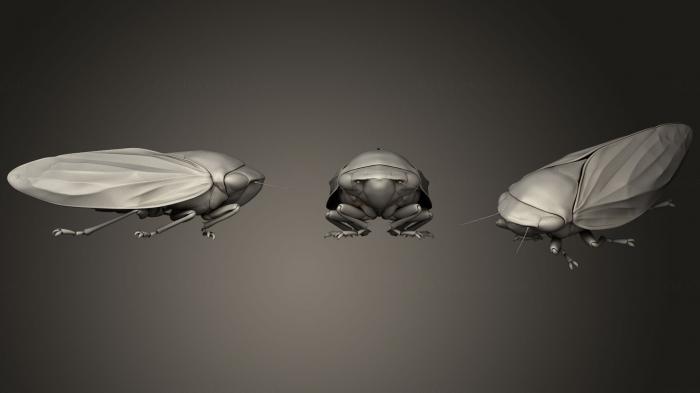 Insects (INSCT_0049) 3D model for CNC machine